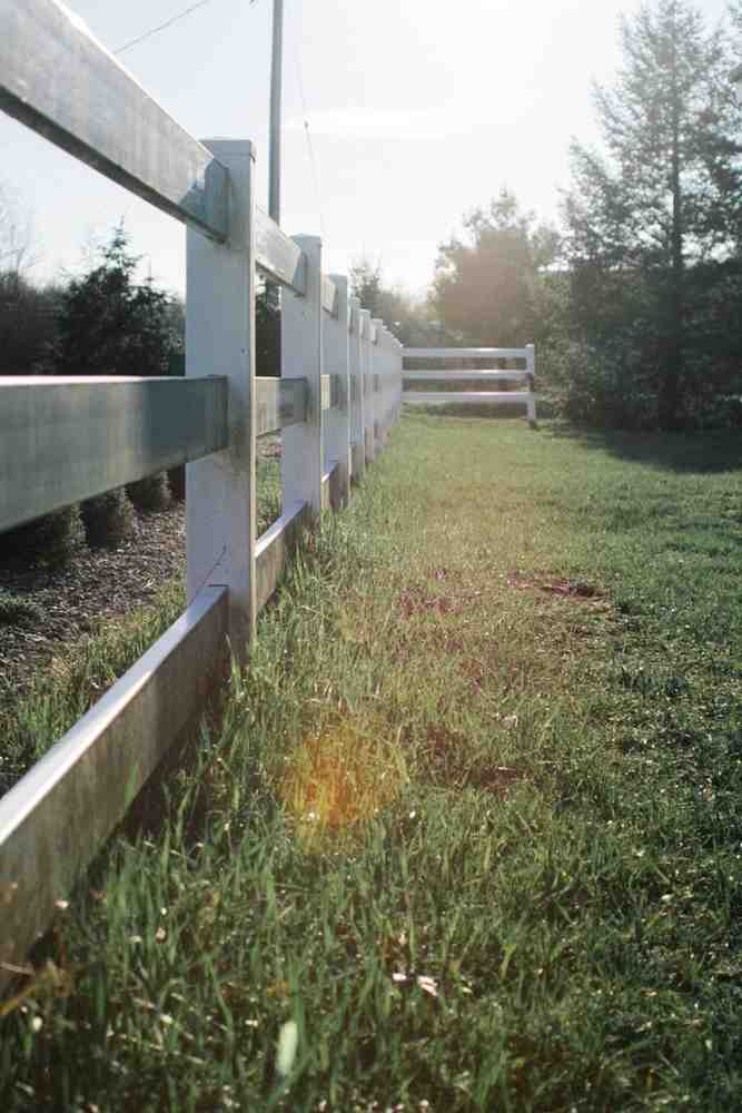 Privacy Fence