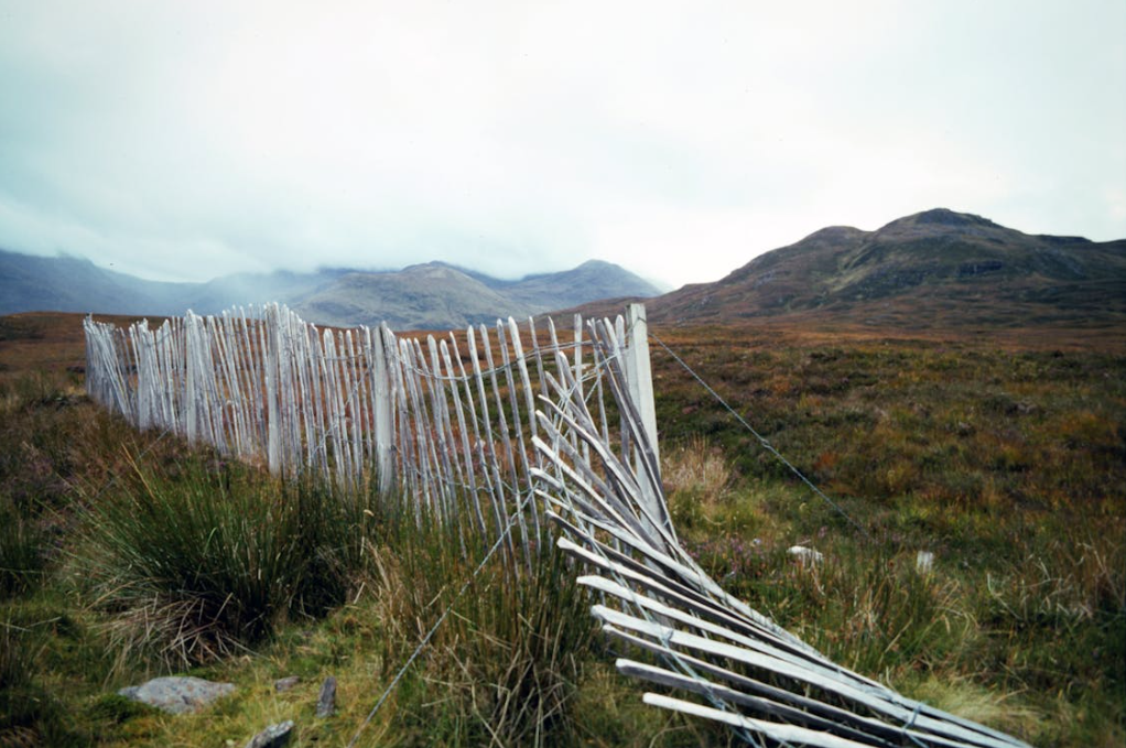 leaning fence