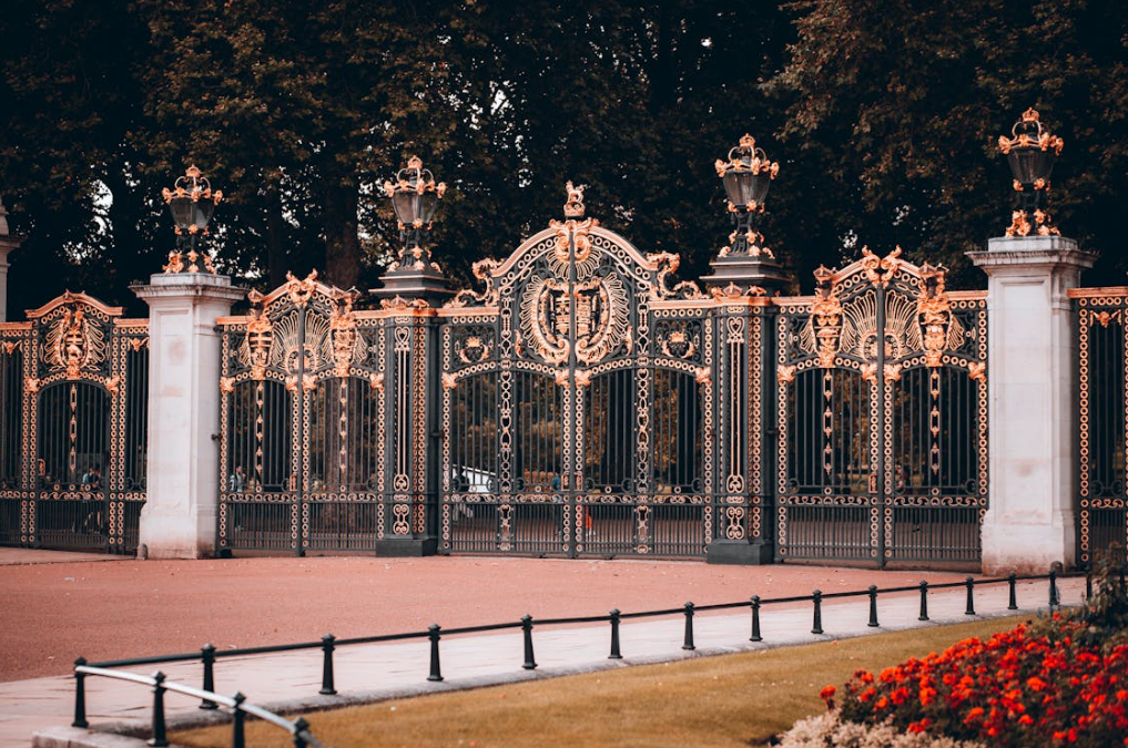 New Fence